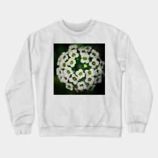 Sweet Alyssum Close-Up Crewneck Sweatshirt